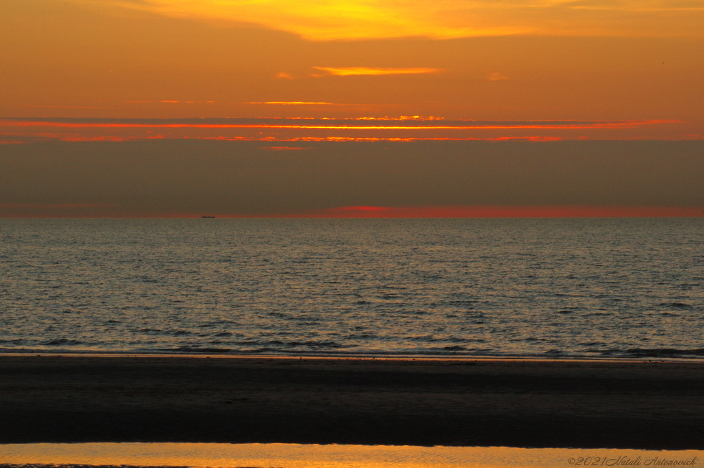 Album "Belgian coast" | Fotografiebild "Parallelen" von Natali Antonovich im Sammlung/Foto Lager.