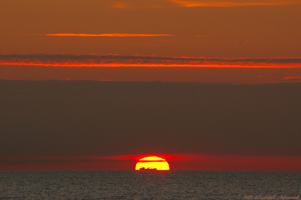 Fotografie afbeelding "Belgian coast" door Natali Antonovich | Archief/Foto Voorraad.