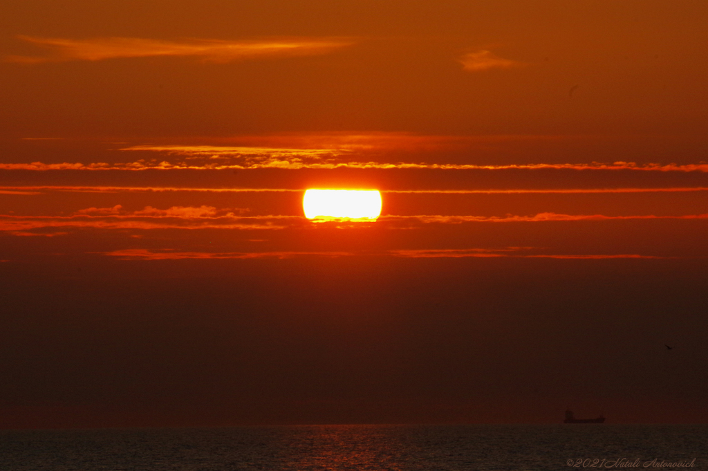 Fotografie afbeelding "Belgian coast" door Natali Antonovich | Archief/Foto Voorraad.