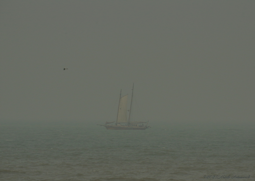 Fotografiebild "Belgian coast" von Natali Antonovich | Sammlung/Foto Lager.