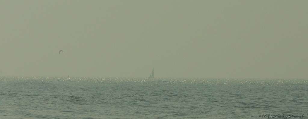 Fotografiebild "Belgian coast" von Natali Antonovich | Sammlung/Foto Lager.