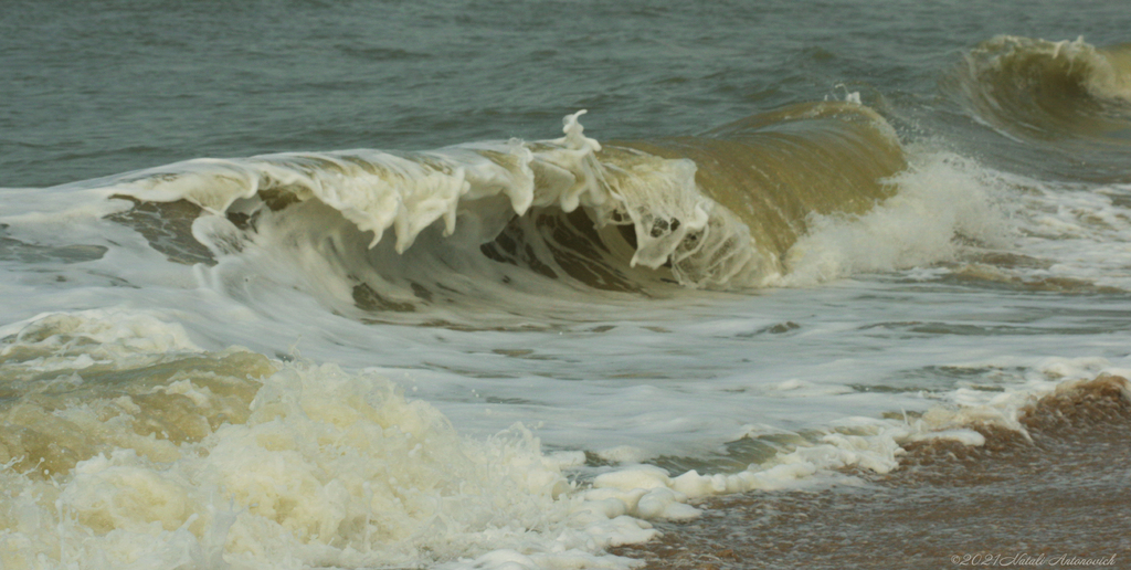 Album "Belgian coast" | Image de photographie "Water Gravitation" de Natali Antonovich en photostock.