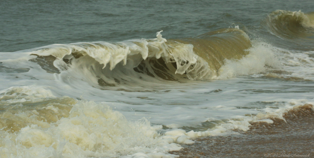 Fotografie afbeelding "Belgian coast" door Natali Antonovich | Archief/Foto Voorraad.