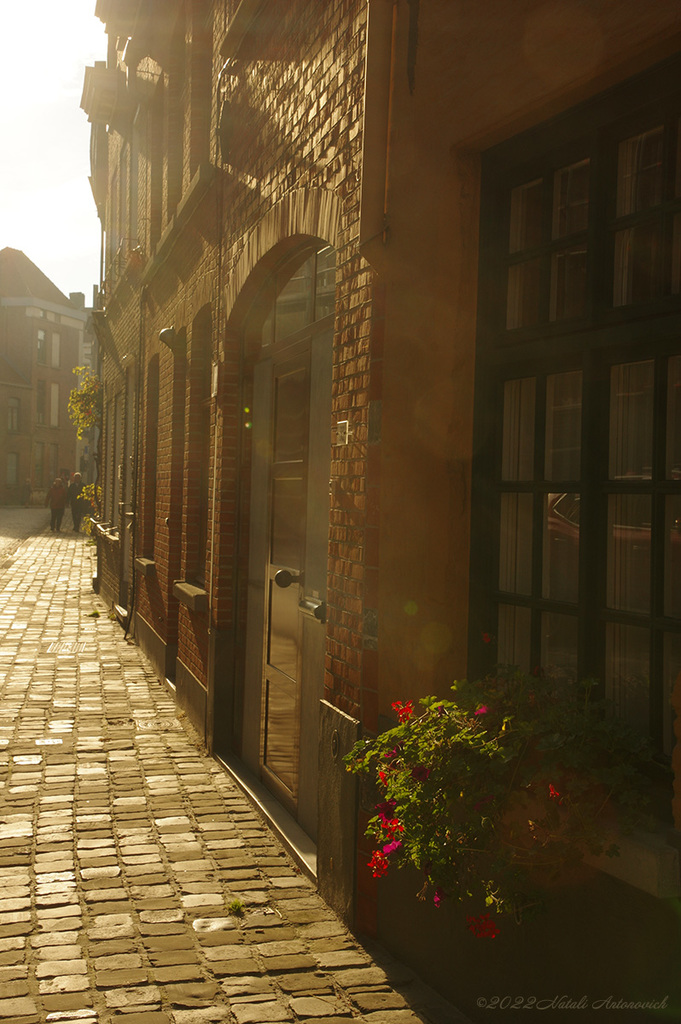 Fotografie afbeelding "Beloved Brugge" door Natali Antonovich | Archief/Foto Voorraad.