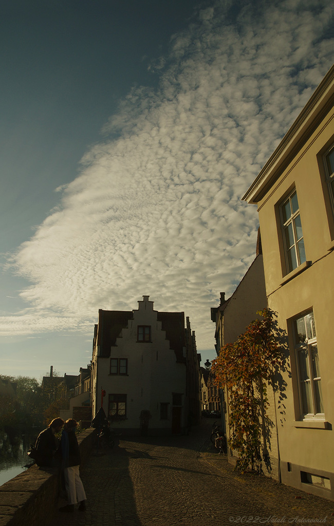 Альбом "Beloved Brugge" | Фота выява " Бруге" ад Natali Антонавіч у Архіве/Банке Фотаздымкаў.