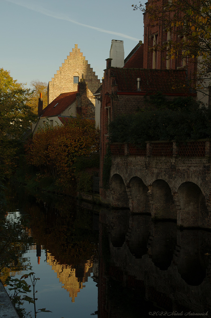 Album "Beloved Brugge" | Fotografie afbeelding " Brugge" door Natali Antonovich in Archief/Foto Voorraad.