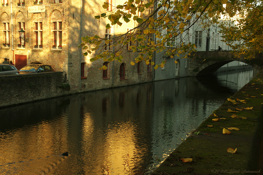 Fotografie afbeelding "Bruges" door Natali Antonovich | Archief/Foto Voorraad.