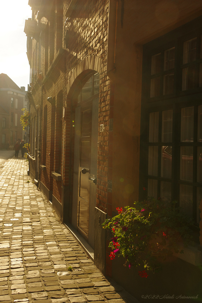 Album "Bruges" | Fotografiebild " Brügge" von Natali Antonovich im Sammlung/Foto Lager.