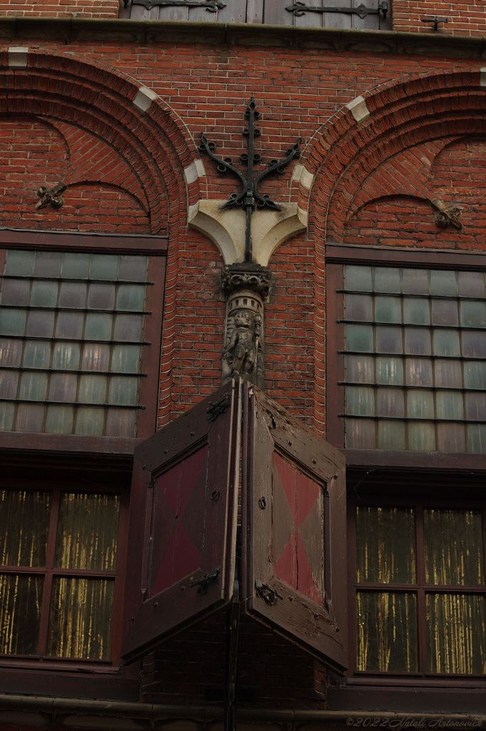 Album "Dordrecht. Netherlands" | Fotografie afbeelding "Nederland" door Natali Antonovich in Archief/Foto Voorraad.