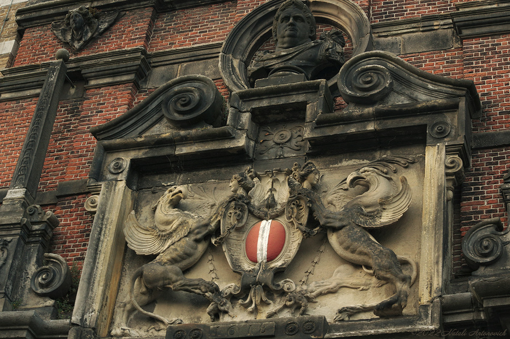 Album "Dordrecht. Netherlands" | Fotografie afbeelding "Parallellen" door Natali Antonovich in Archief/Foto Voorraad.