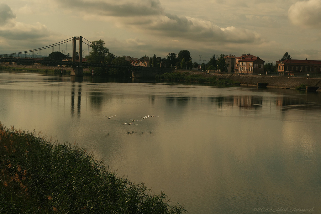 Fotografiebild "Tournon-sur-Rhône, France" von Natali Antonovich | Sammlung/Foto Lager.