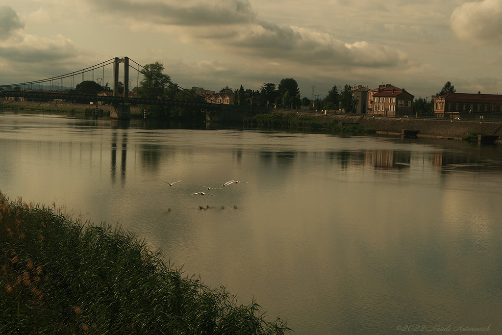 Фотография "Tournon-sur-Rhône, France" от Натали Антонович | Aрхив/Банк Фотографий