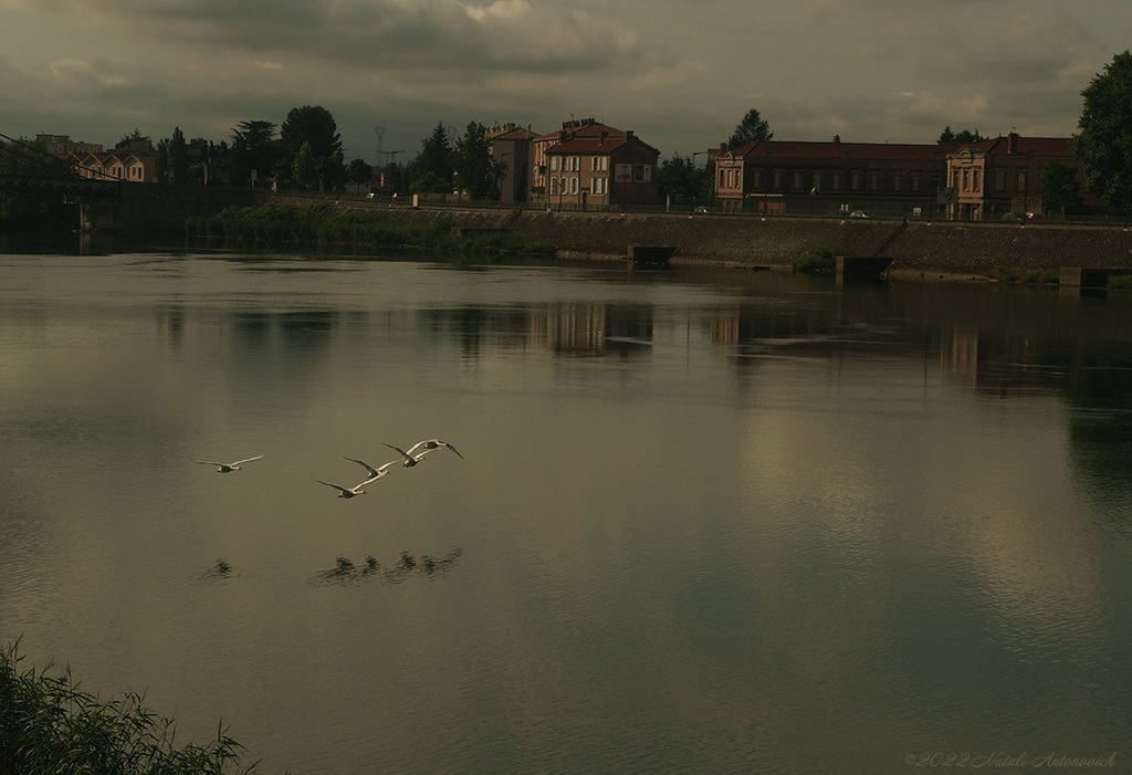Fotografiebild "Tournon-sur-Rhône, France" von Natali Antonovich | Sammlung/Foto Lager.