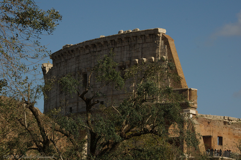 Album "Rome" | Fotografie afbeelding "Rome " door Natali Antonovich in Archief/Foto Voorraad.