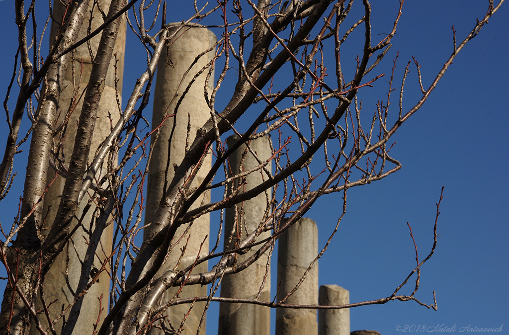 Album "Rome" | Image de photographie "Rome " de Natali Antonovich en photostock.