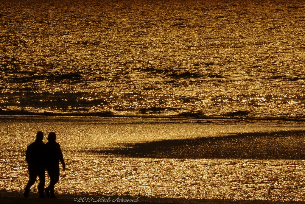 Photography image "Belgian Coast" by Natali Antonovich | Photostock.