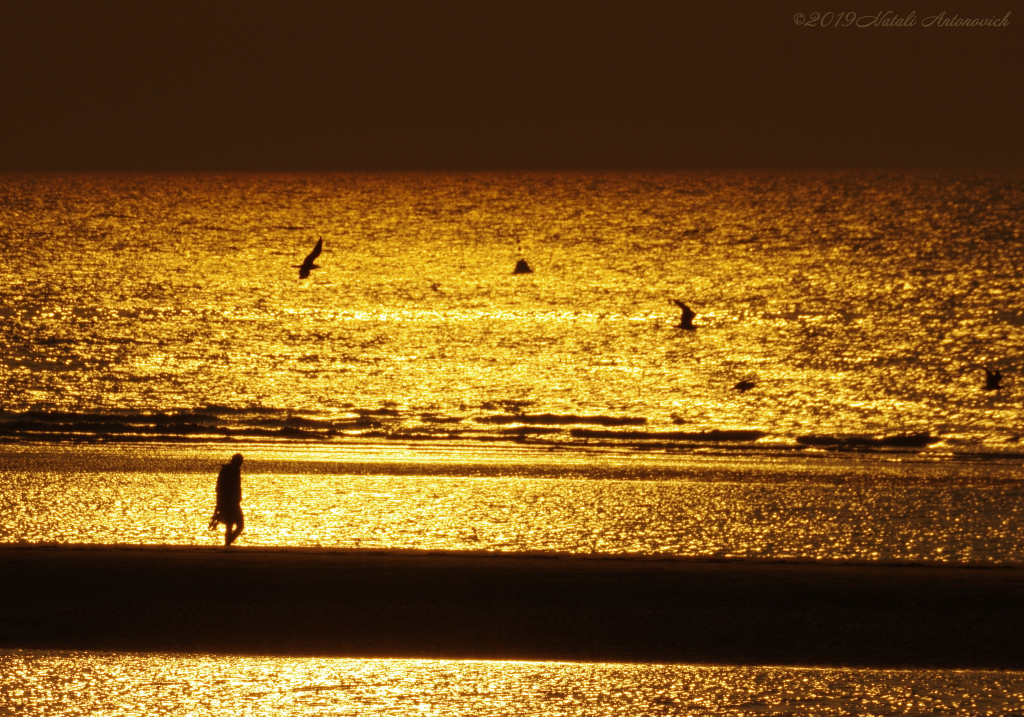 Album "Belgian Coast" | Image de photographie "Water Gravitation" de Natali Antonovich en photostock.