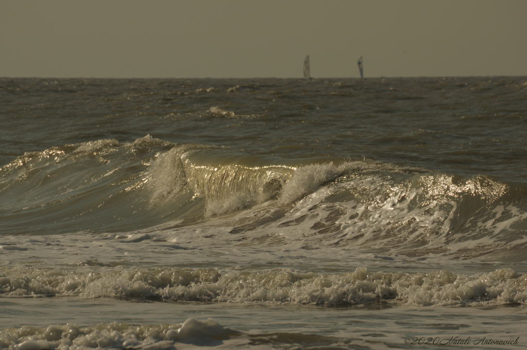Альбом "Belgian Coast" | Фота выява "Water Gravitation" ад Natali Антонавіч у Архіве/Банке Фотаздымкаў.