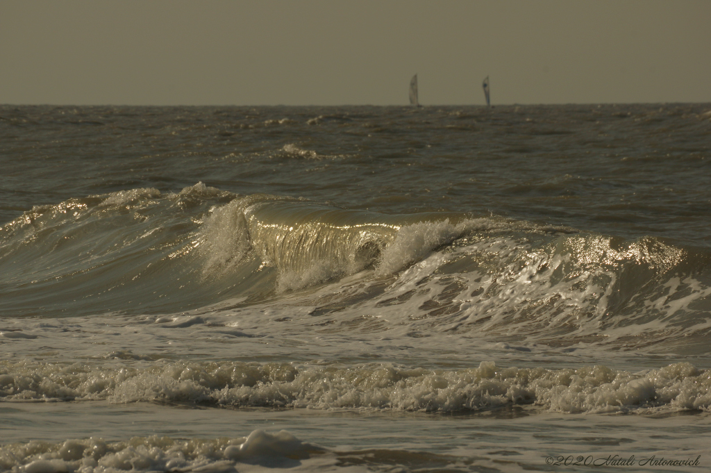 Album  "Belgian Coast" | Photography image "Water Gravitation" by Natali Antonovich in Photostock.