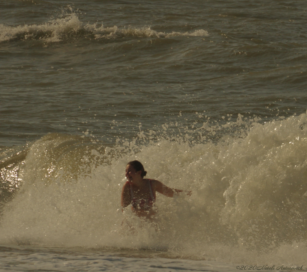 Image de photographie "Belgian Coast" de Natali Antonovich | Photostock.