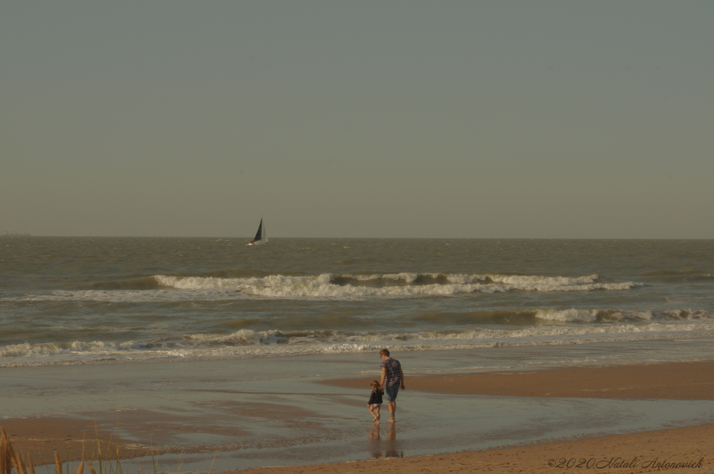 Album "Belgian Coast" | Fotografiebild "Belgischen Küste" von Natali Antonovich im Sammlung/Foto Lager.