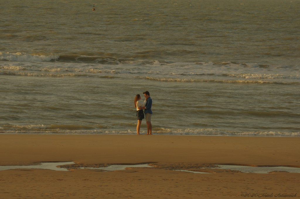 Album "Belgian Coast" | Fotografiebild "Belgien" von Natali Antonovich im Sammlung/Foto Lager.