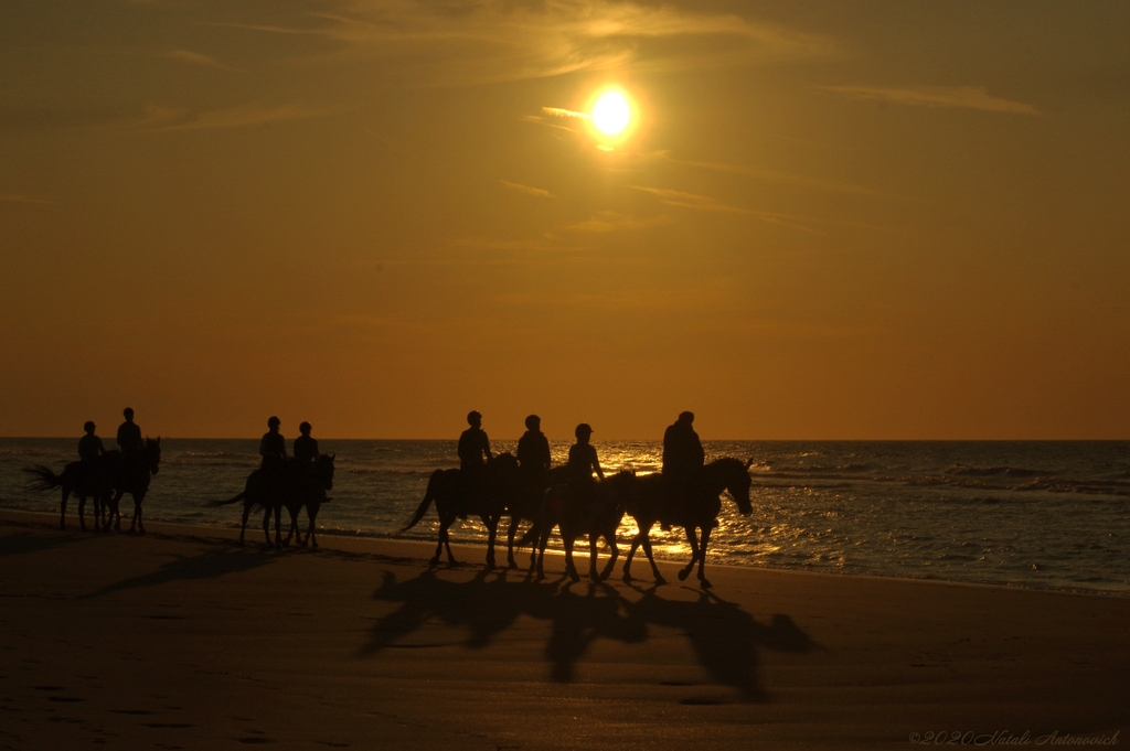 Album "Belgian Coast" | Image de photographie "Belgique" de Natali Antonovich en photostock.