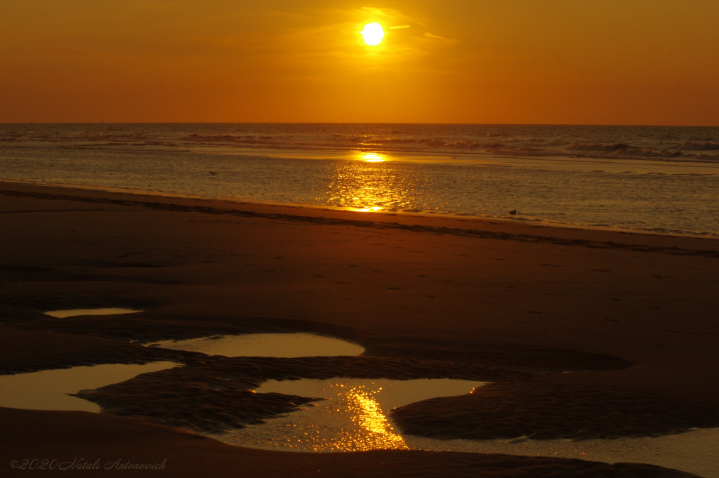 Album "Belgian Coast" | Image de photographie "Belgique" de Natali Antonovich en photostock.