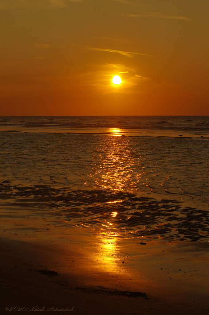 Album  "Belgian Coast" | Photography image "Water Gravitation" by Natali Antonovich in Photostock.