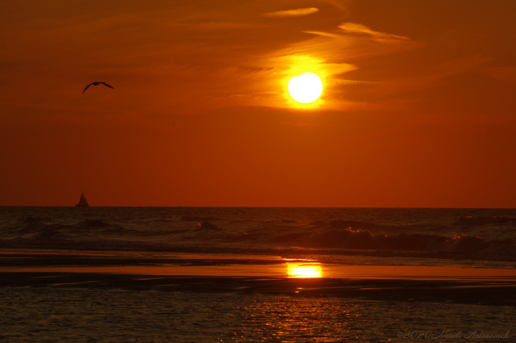 Album "Belgian Coast" | Image de photographie "Belgique" de Natali Antonovich en photostock.