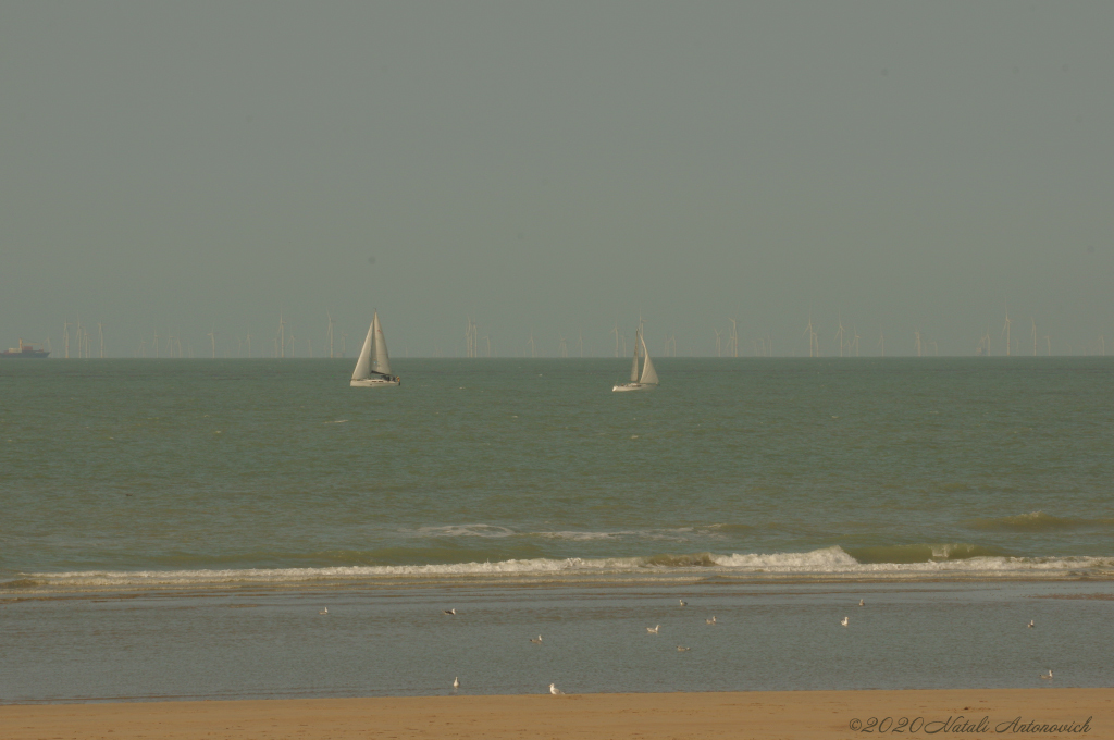 Album "Belgian Coast" | Image de photographie "Côte Belge" de Natali Antonovich en photostock.