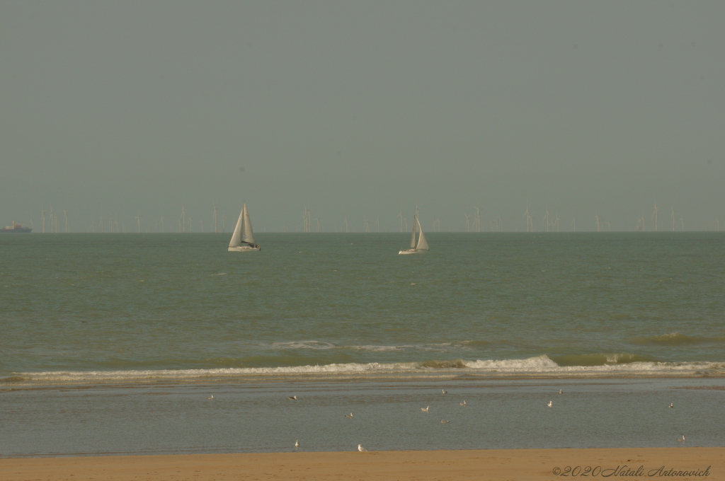 Album "Belgian Coast" | Fotografiebild "Belgischen Küste" von Natali Antonovich im Sammlung/Foto Lager.