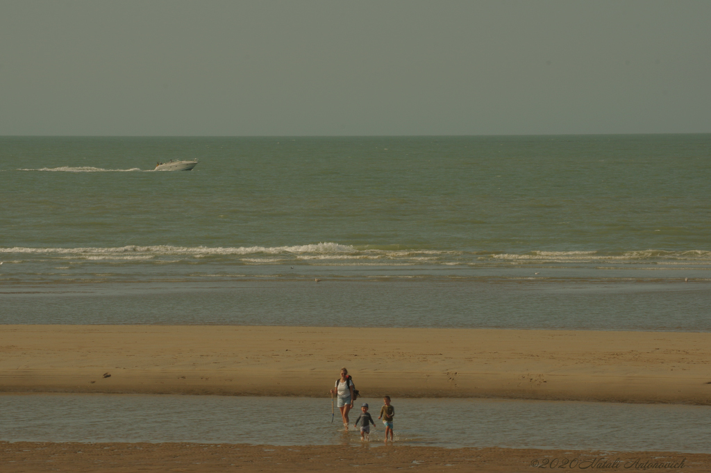 Album "Belgian Coast" | Image de photographie "Water Gravitation" de Natali Antonovich en photostock.