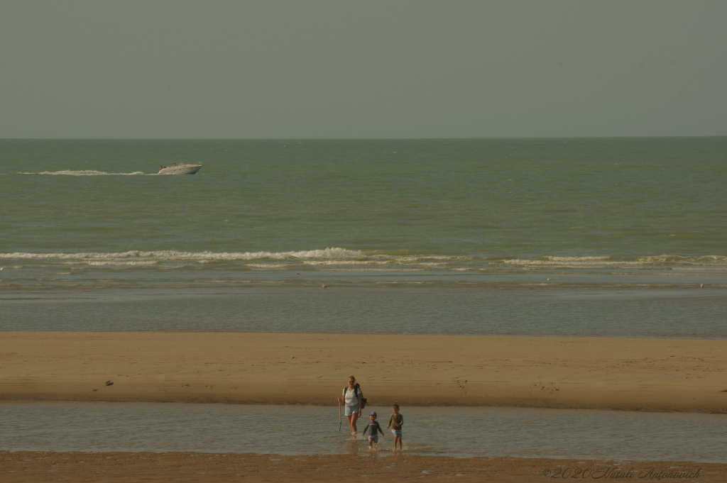 Album "Belgian Coast" | Fotografie afbeelding "Water Gravitation" door Natali Antonovich in Archief/Foto Voorraad.