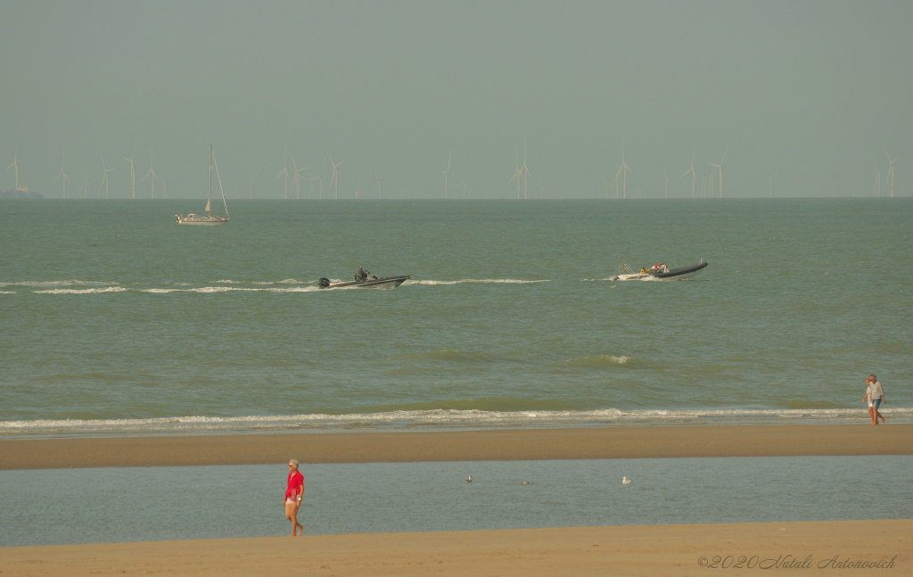 Album "Belgian Coast" | Image de photographie "Water Gravitation" de Natali Antonovich en photostock.