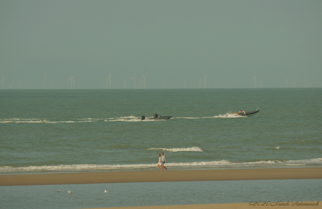 Album "Belgian Coast" | Fotografie afbeelding "Belgische Kust" door Natali Antonovich in Archief/Foto Voorraad.