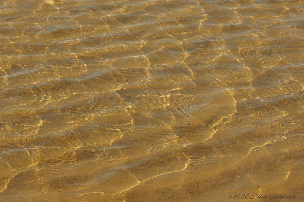 Album "Water Gravitation" | Image de photographie "Water Gravitation" de Natali Antonovich en photostock.