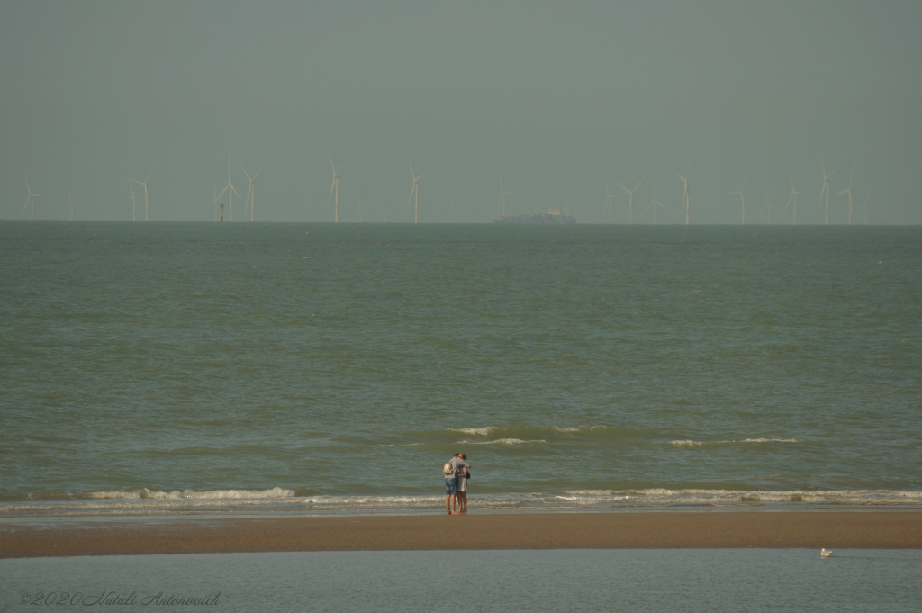 Album "Belgian Coast" | Fotografie afbeelding "Belgische Kust" door Natali Antonovich in Archief/Foto Voorraad.