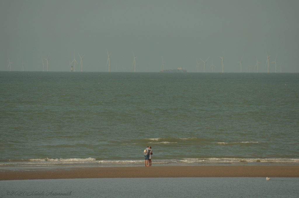 Album  "Belgian Coast" | Photography image "Water Gravitation" by Natali Antonovich in Photostock.