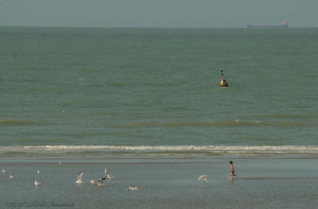 Album "Belgian Coast" | Image de photographie "Water Gravitation" de Natali Antonovich en photostock.