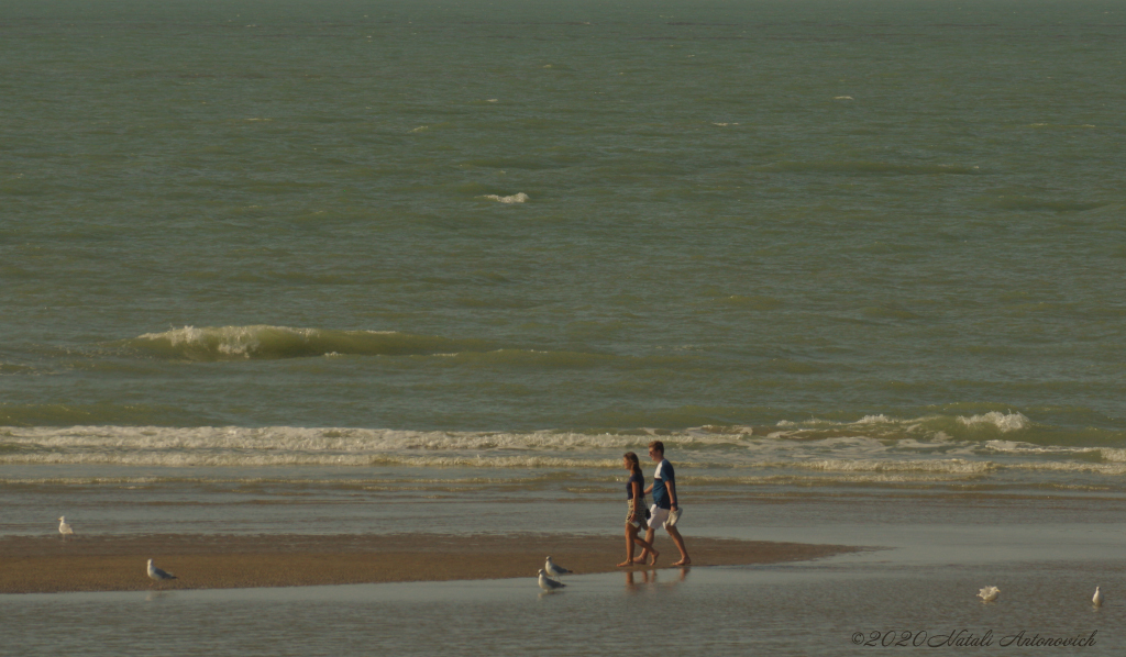 Album "Belgian Coast" | Fotografiebild "Water Gravitation" von Natali Antonovich im Sammlung/Foto Lager.