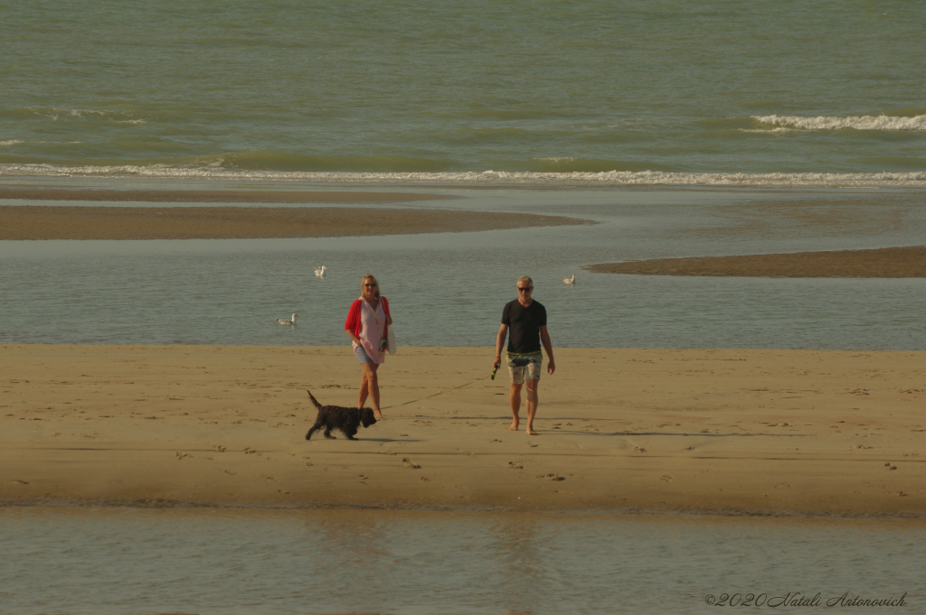 Album  "Belgian Coast" | Photography image "Water Gravitation" by Natali Antonovich in Photostock.