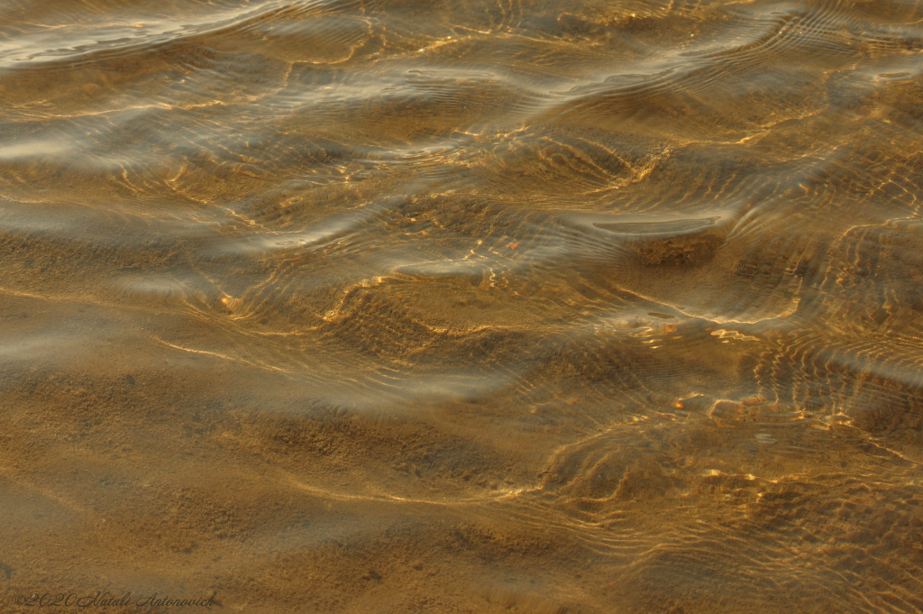 Album "Water Gravitation" | Image de photographie "Water Gravitation" de Natali Antonovich en photostock.