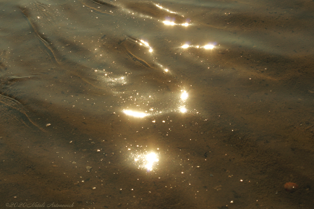 Album "Water Gravitation" | Image de photographie "Water Gravitation" de Natali Antonovich en photostock.