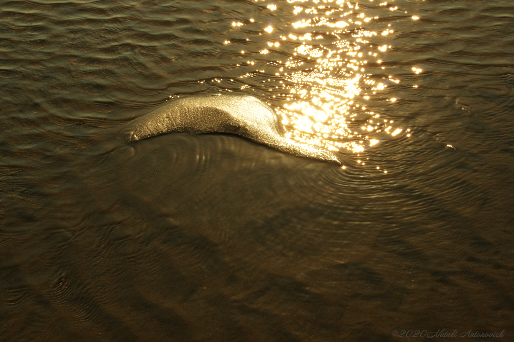 Album "Water Gravitation" | Fotografiebild "Parallelen" von Natali Antonovich im Sammlung/Foto Lager.