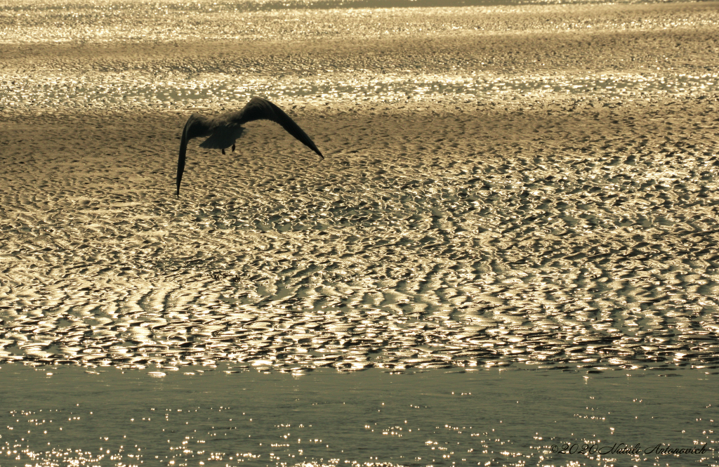 Photography image "Water Gravitation" by Natali Antonovich | Photostock.