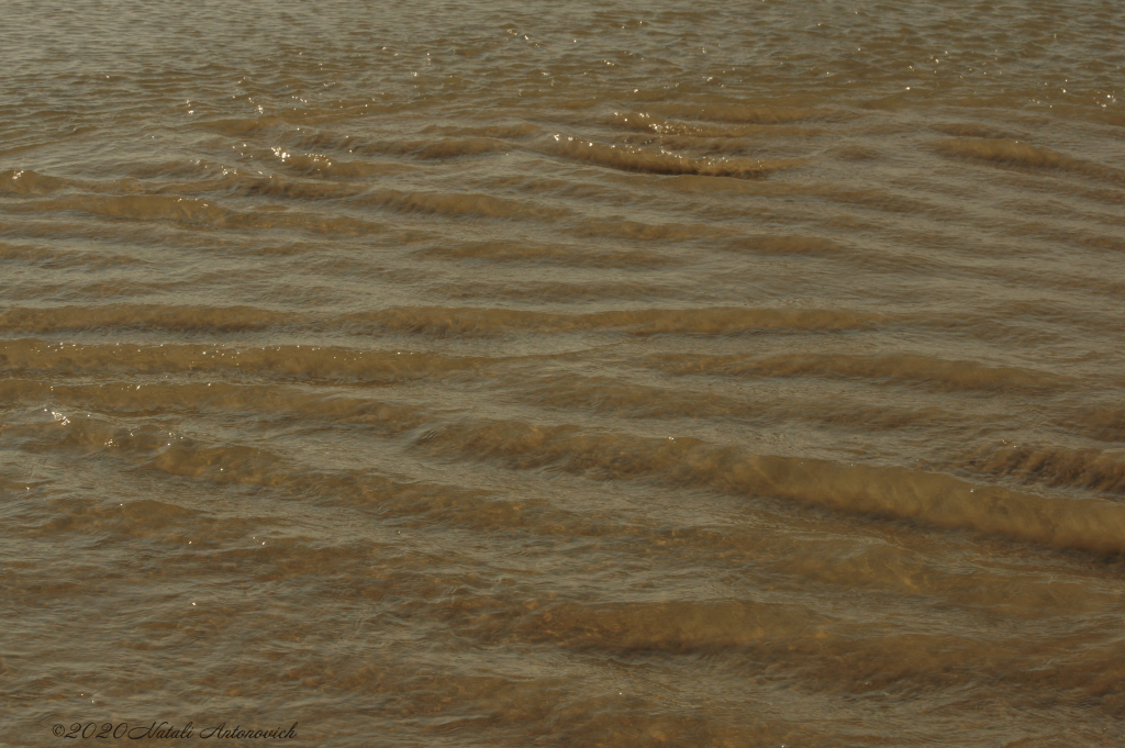 Album "Water Gravitation" | Fotografiebild "Parallelen" von Natali Antonovich im Sammlung/Foto Lager.