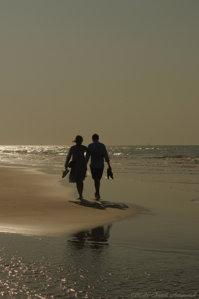 Album "Belgian Coast" | Fotografie afbeelding "Belgische Kust" door Natali Antonovich in Archief/Foto Voorraad.