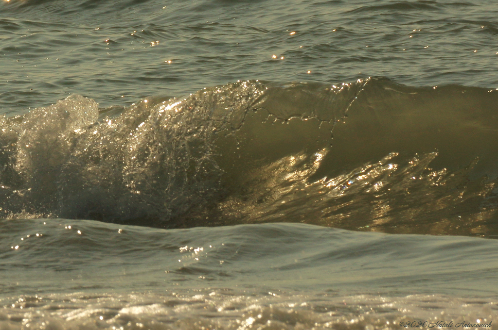 Album "Water Gravitation" | Fotografie afbeelding "Parallellen" door Natali Antonovich in Archief/Foto Voorraad.