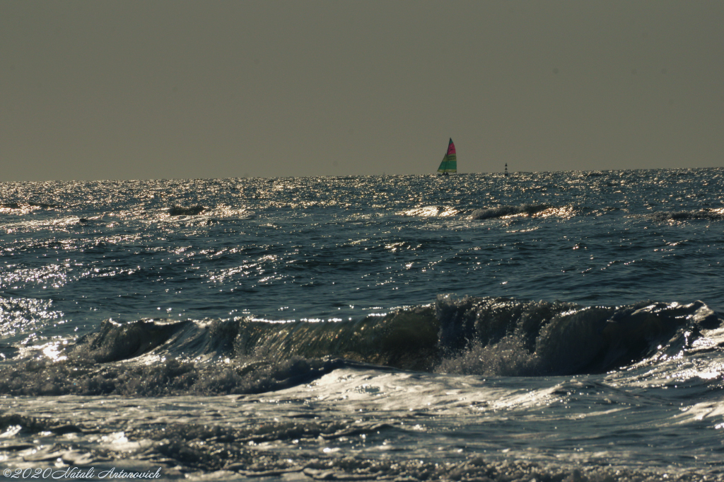 Fotografie afbeelding "Belgian Coast" door Natali Antonovich | Archief/Foto Voorraad.